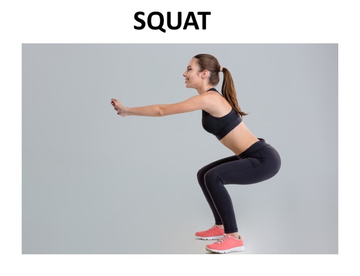 pelvic floor exercises squats