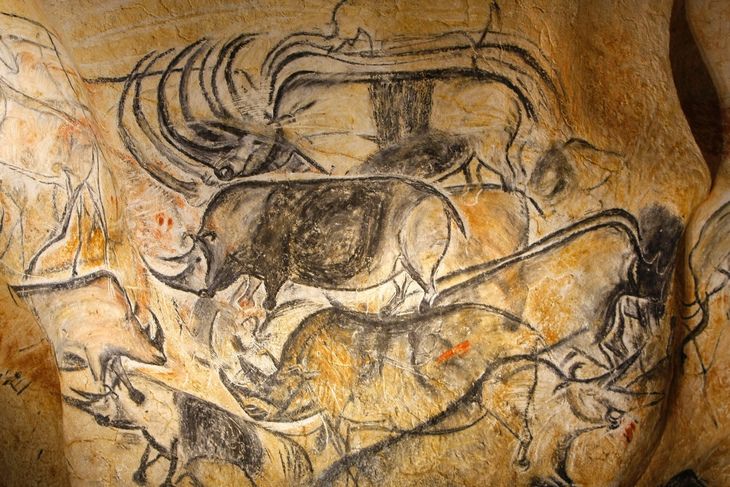 Chauvet cave: rhinos