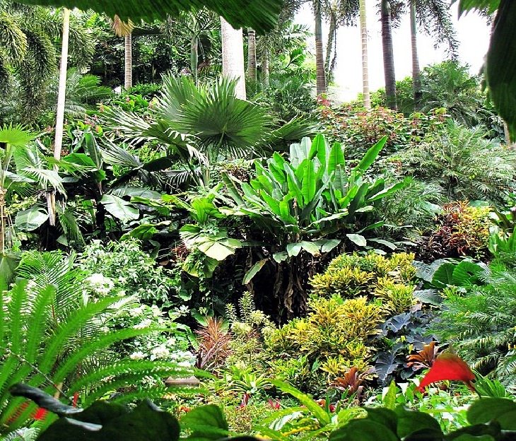 Barbados: Hunte's Garden