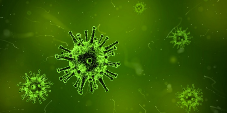 Measles: virus