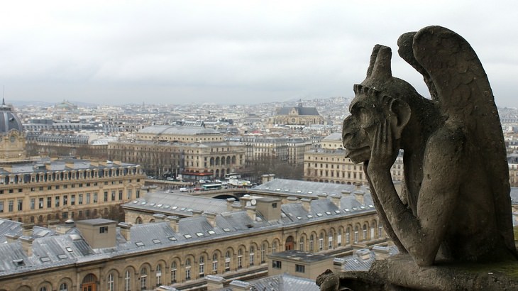 Notre Dame: gargoyle