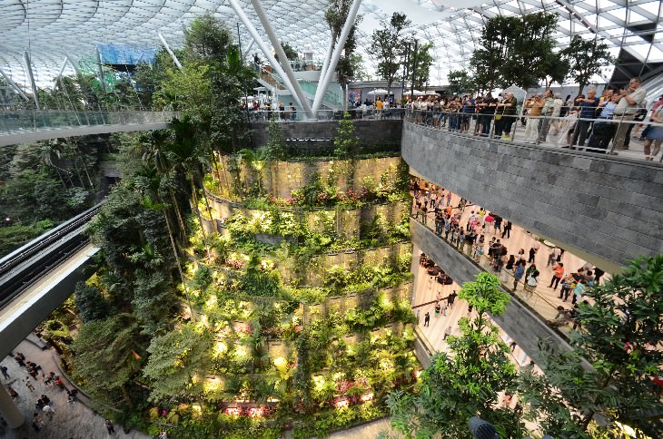 Jewel Changi Airport rainforest