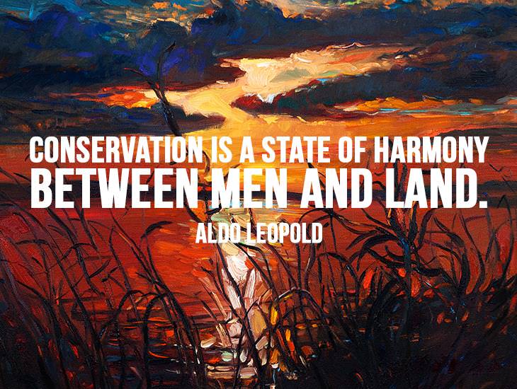 Conservation Is A State Of Harmony