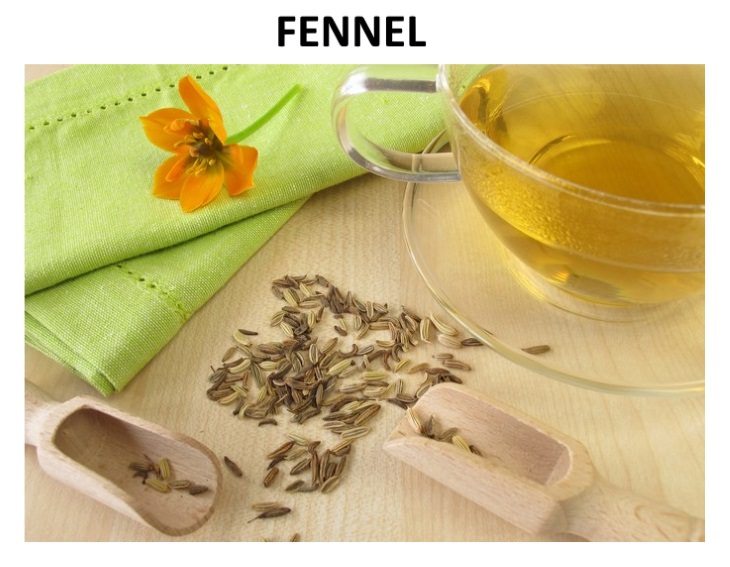 herbal teas that relieve bloating  Fennel (Foeniculum vulgare)