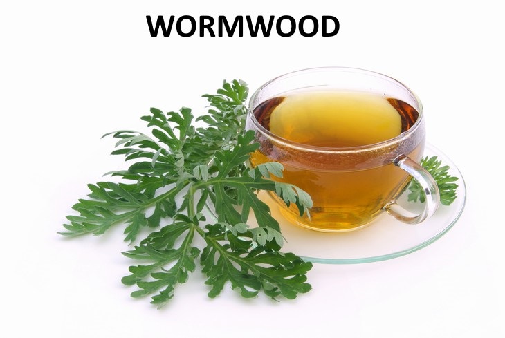 herbal teas that relieve bloating  Wormwood (Artemisia absinthium)