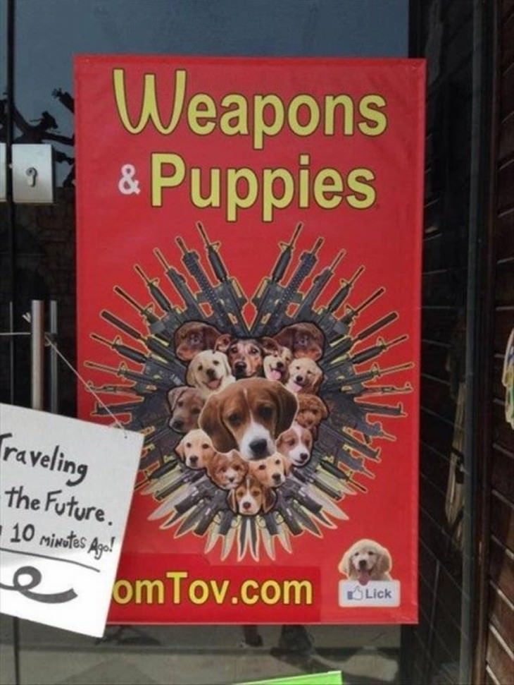 funny street signs weapons and puppies