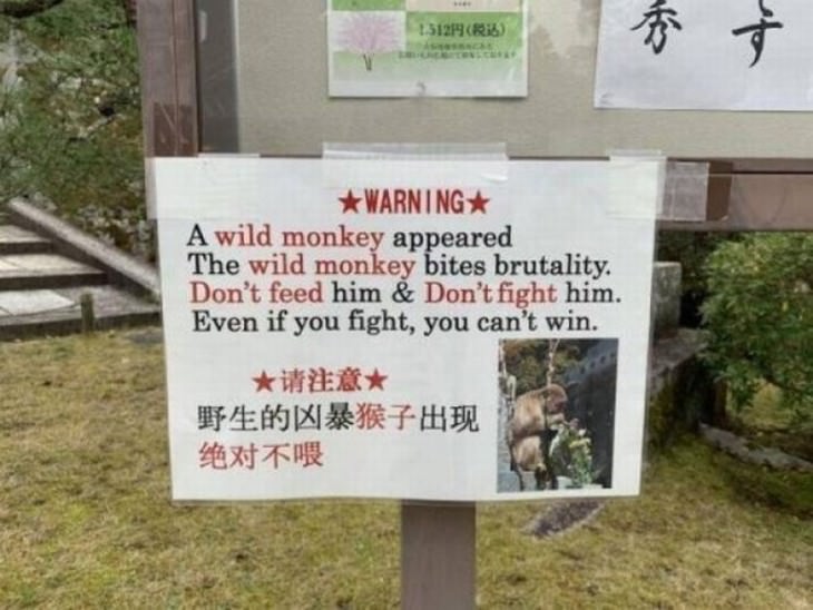 funny street signs wild monkey