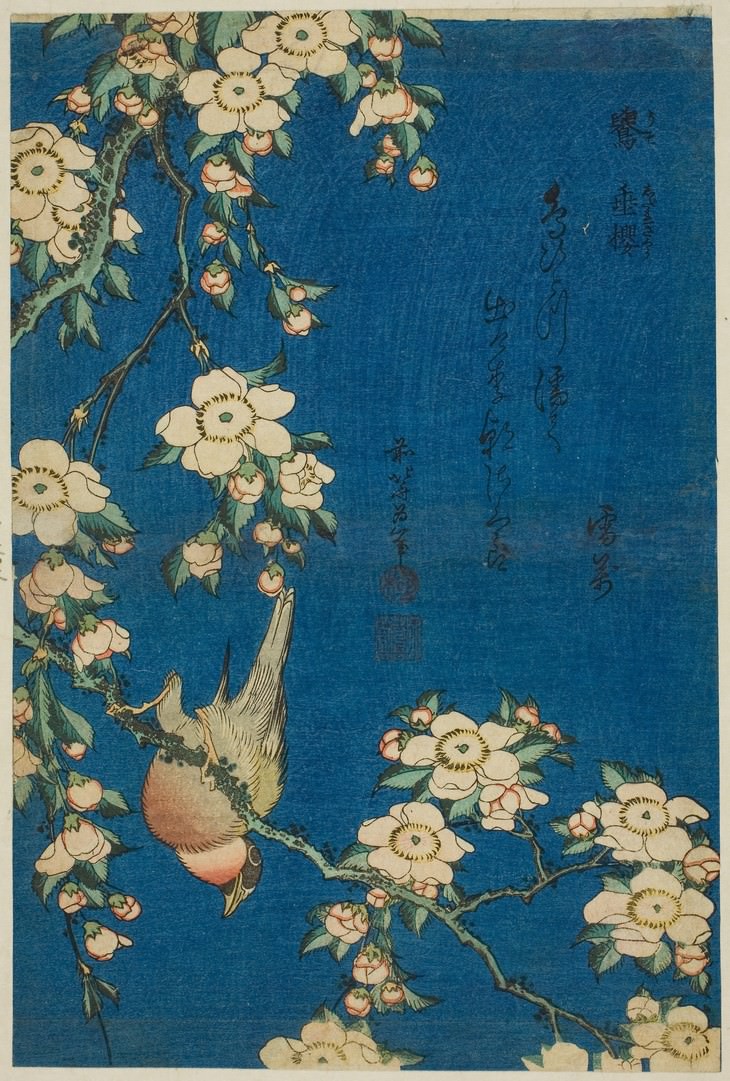 famous flower paintings Katsushika Hokusai Bullfinch and Weeping Cherry Blossoms (1834)