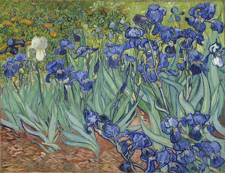 famous flower paintings Irises (1889) Vincent Van Gogh