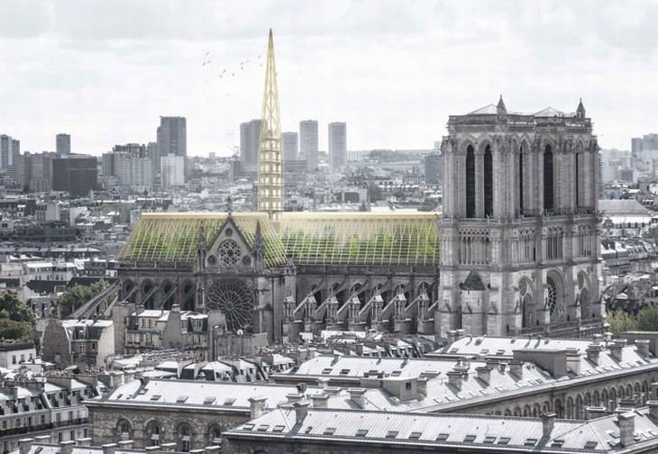 Notre Dame design ideas 3. Studio Nab