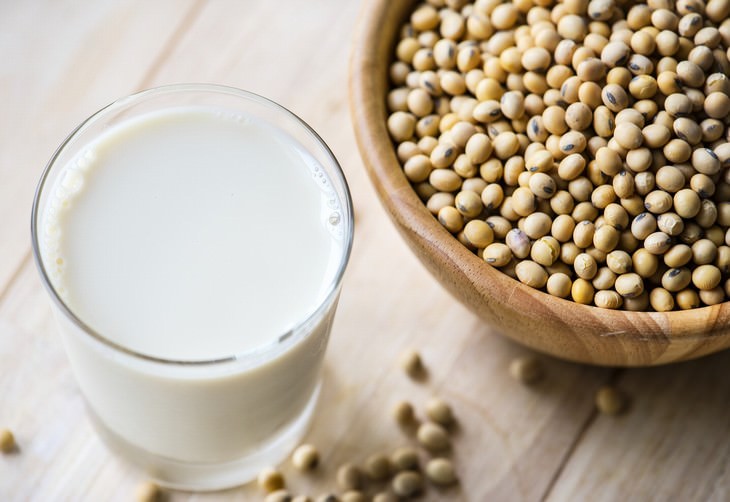 soy guide soy milk and soybeans