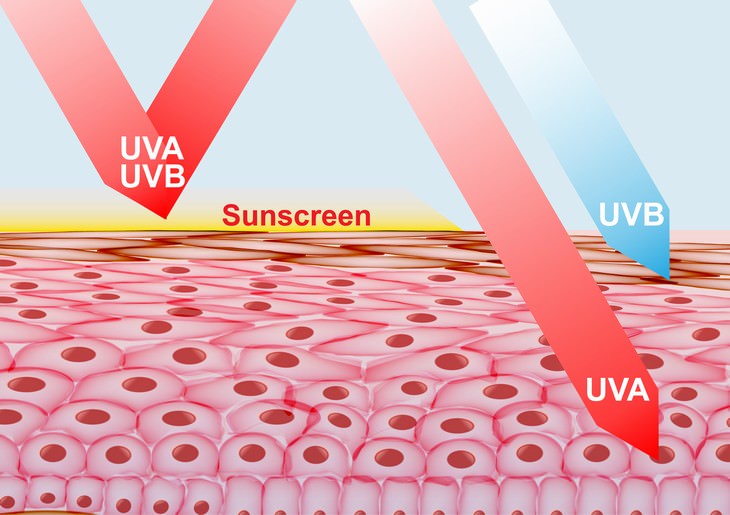 sun exposure myths UVA UVB