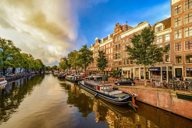 Vegan cities: Amsterdam