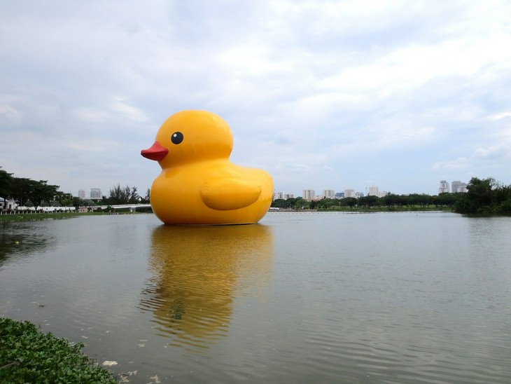Public Art: rubber duck