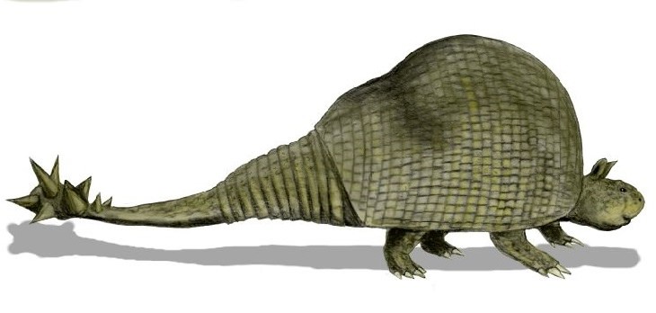 Strange prehistorical animals: doedicurus