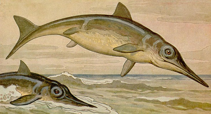 Strange prehistorical animals: ichthyosaurus