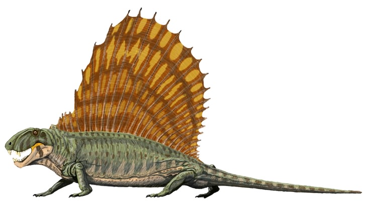 Strange prehistorical animals: dimetrodon