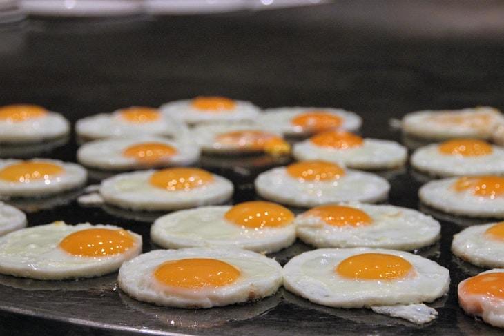 metabolism boosting foods Eggs