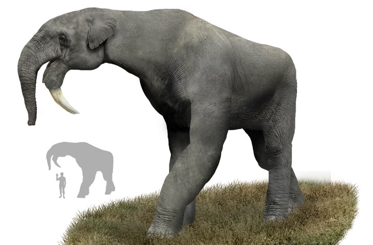 Strange prehistorical animals: deinotherium