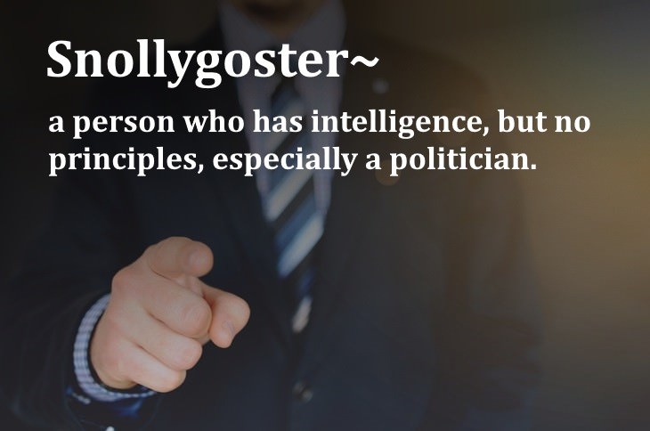old words that should be brought back snollygoster