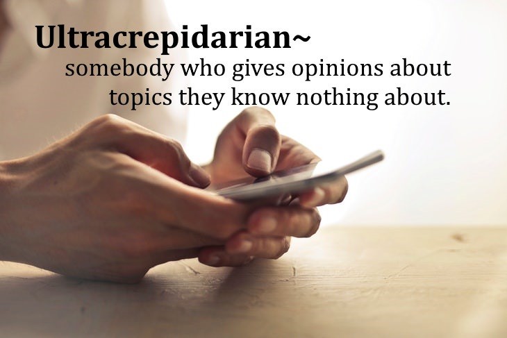 old words that should be brought back ultracrepidarian