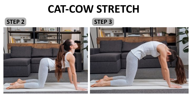 Lower Back Spasm Exercises cat-cow stretch