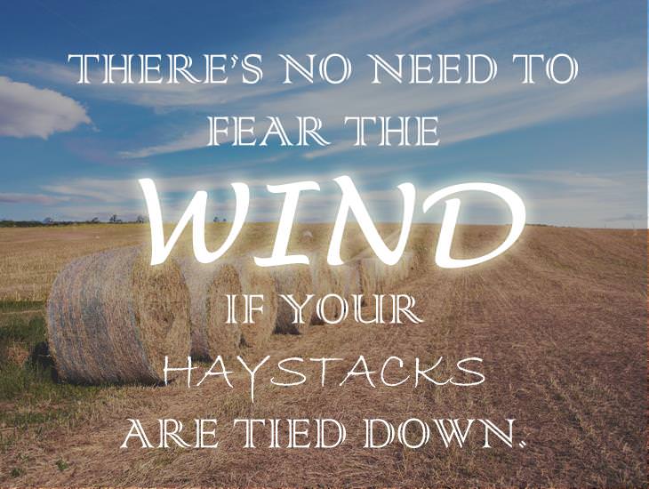 There's No Need To Fear The Wind