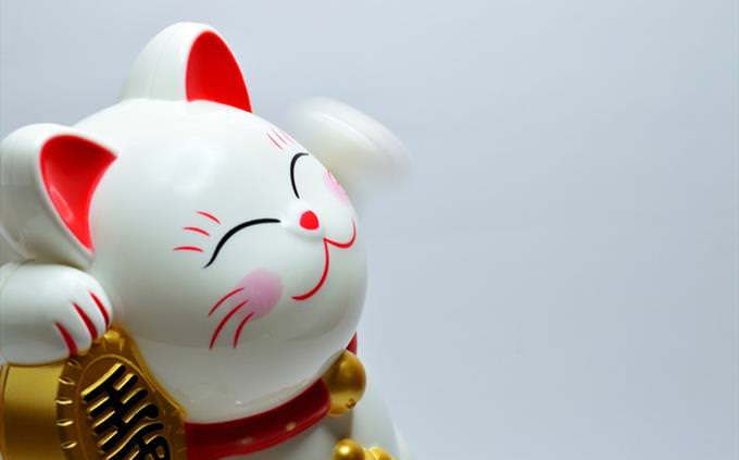 fortune cat