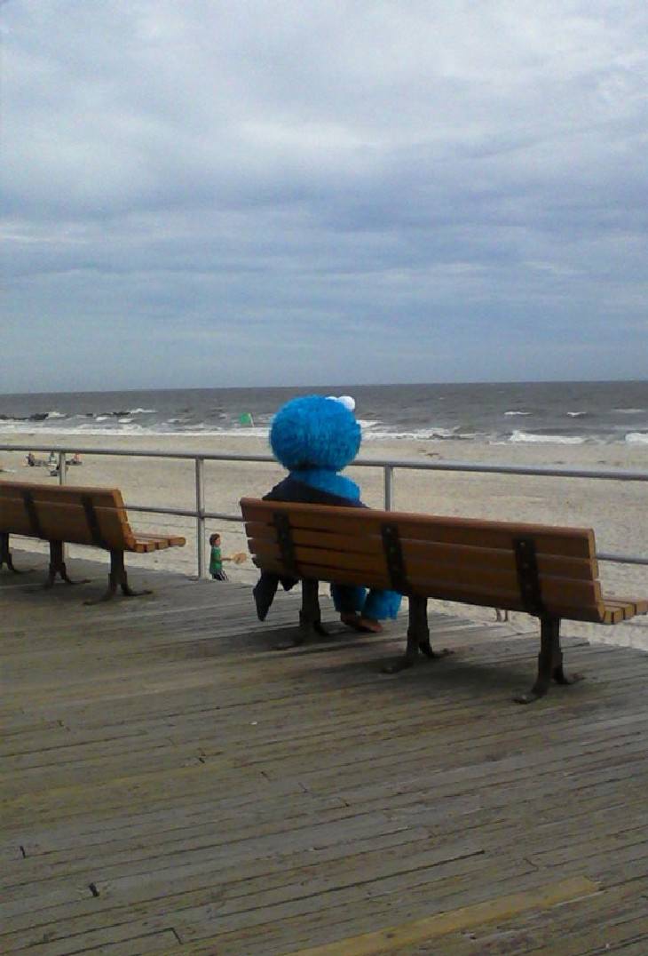 hilarious beach photos cookie monster at the beach