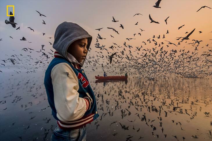 National Geographic Photography Winners