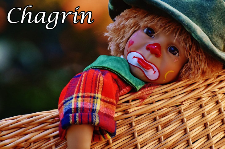 French words: chagrin