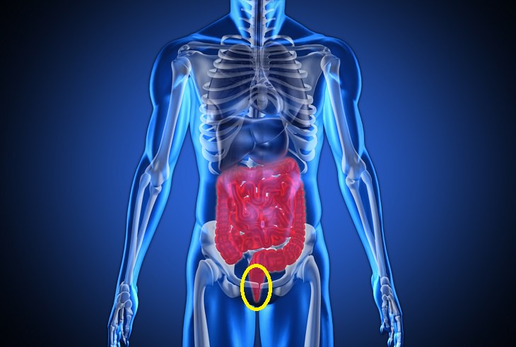 Yogurt and colon cancer: colon and rectum