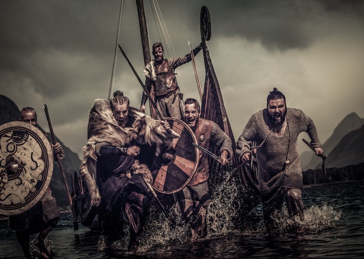 Vikings: raiders