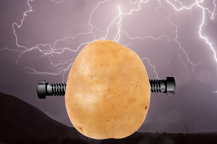 GMOs: Frankenstein potato