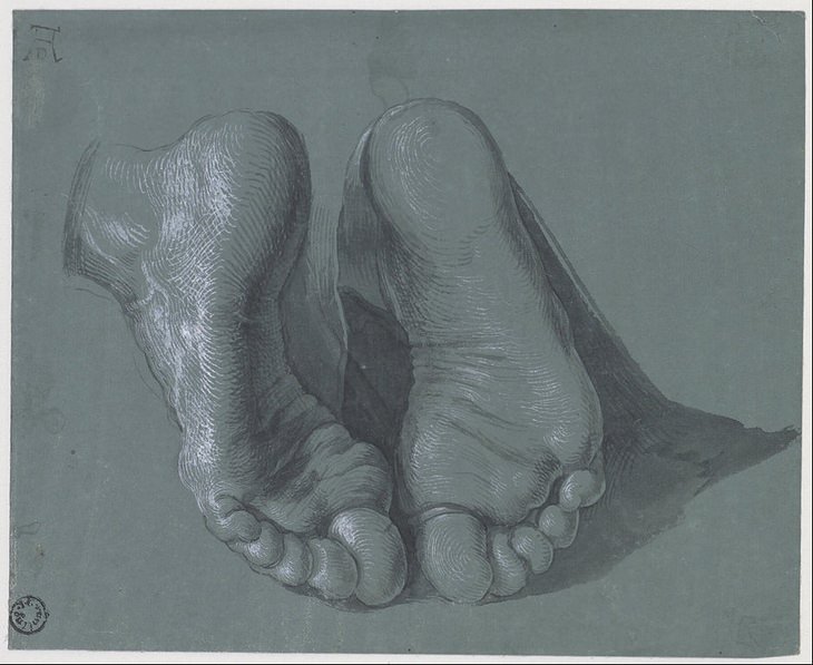 Albrecht Durer: feet