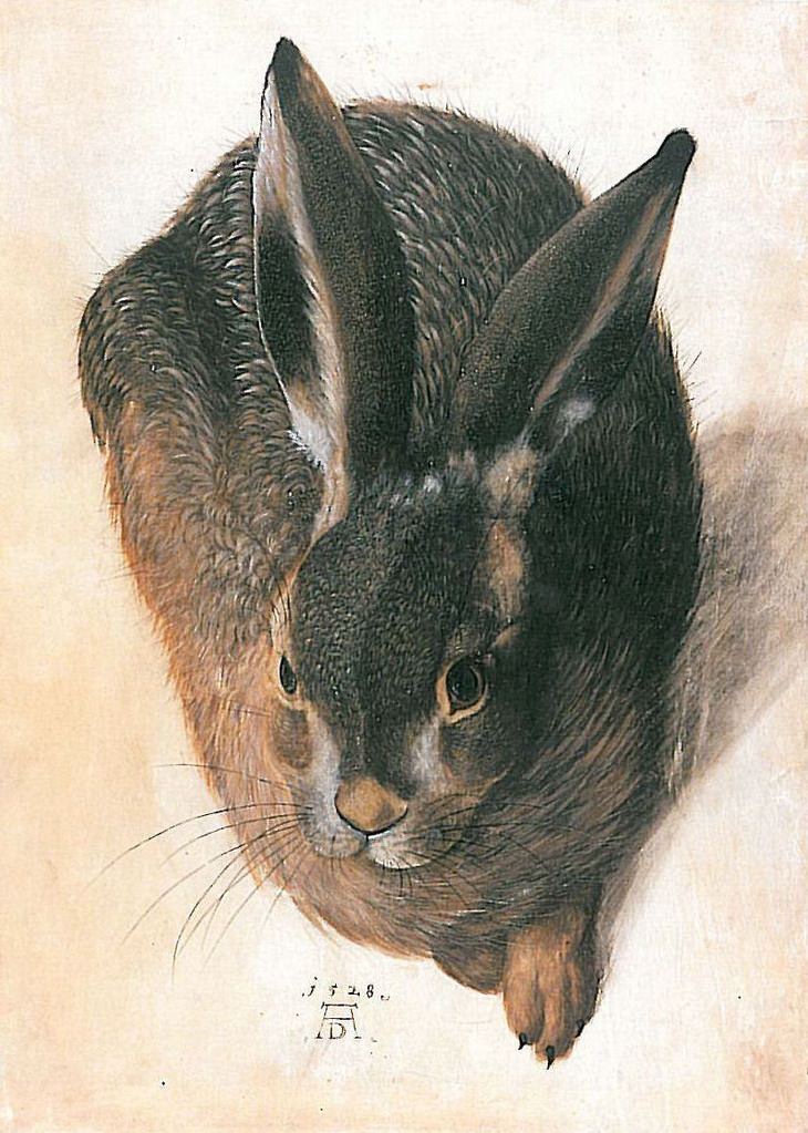 Albrecht Durer: hare