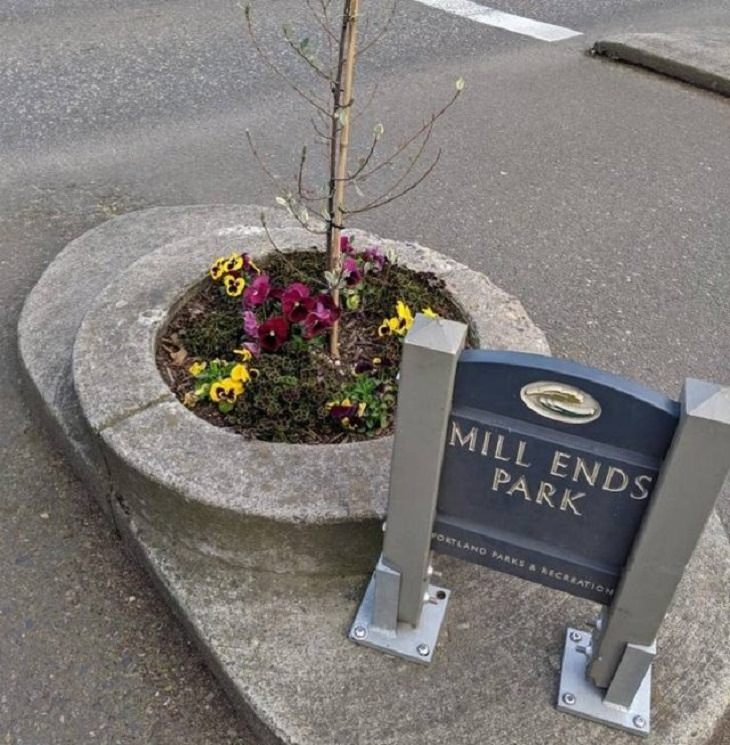 mill's end park, oregon, portland, smallest, interesting, bizarre, random,  beautiful, odd, strange