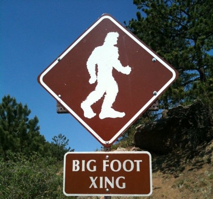 conspiracy theories The Bigfoot