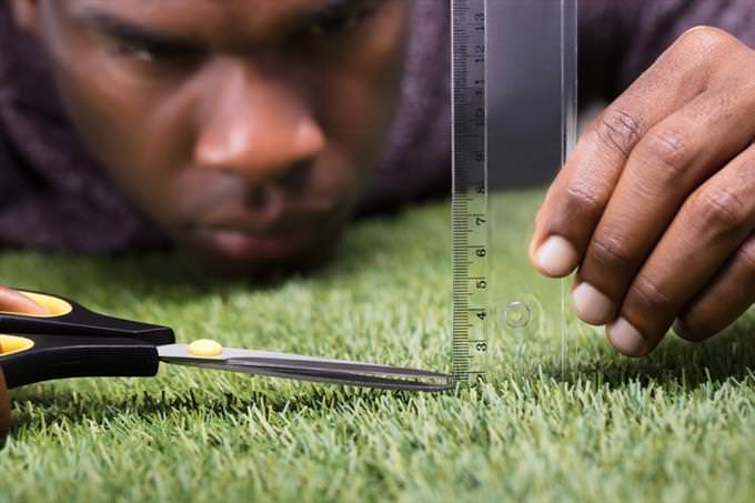 perfectionist cutting grass