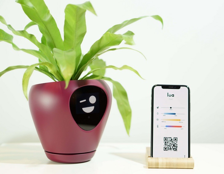 Smart planter: app