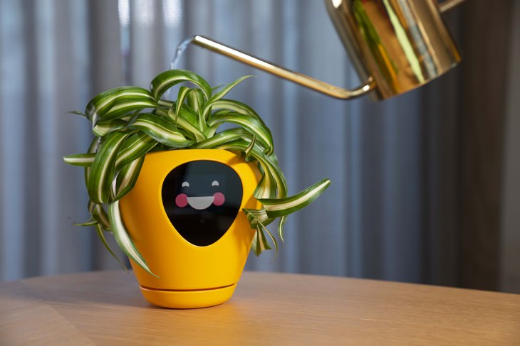 Smart planter: happy