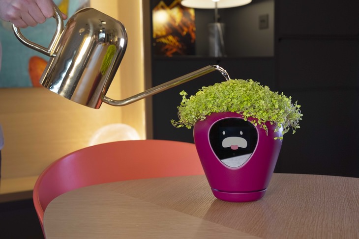 Smart planter: thirsty