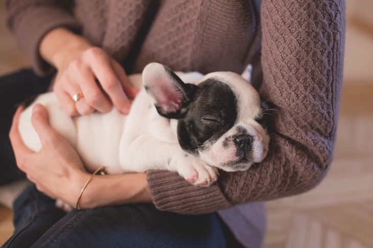 tips to get out of bed puppy sleeping in arms of a woman