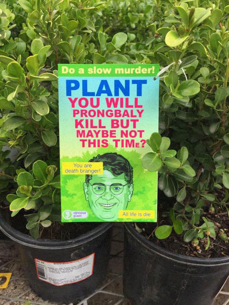 obvious plant plant murder