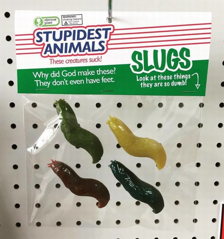 obvious plant stupidest animals slugs