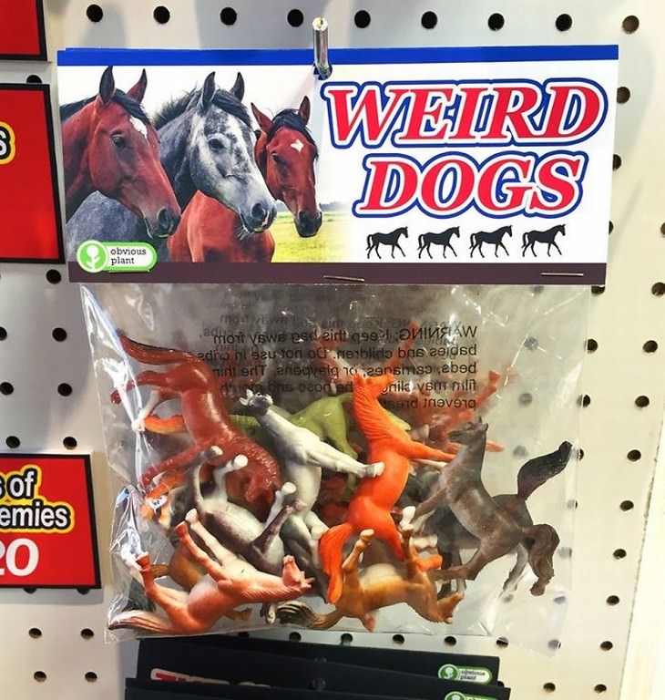 obvious plant weird dogs