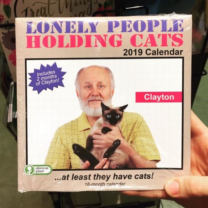 obvious plant lonely people holding cats