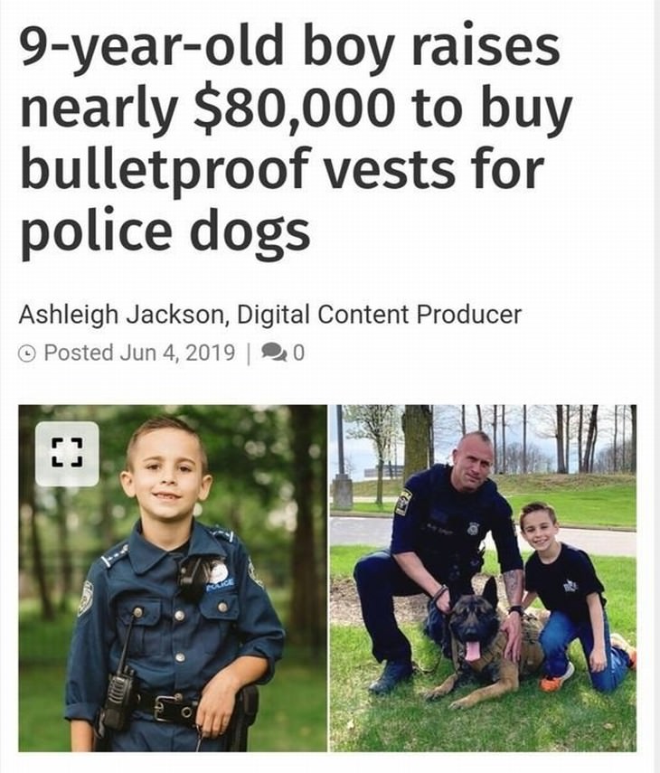 images that will restore your faith in humanity bulletrproof dog vests