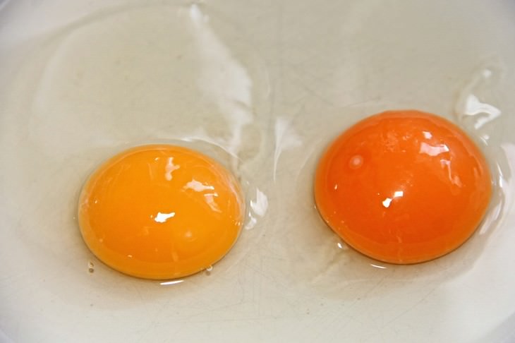 egg myths yolks