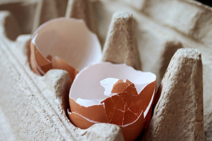 egg myths egg shells